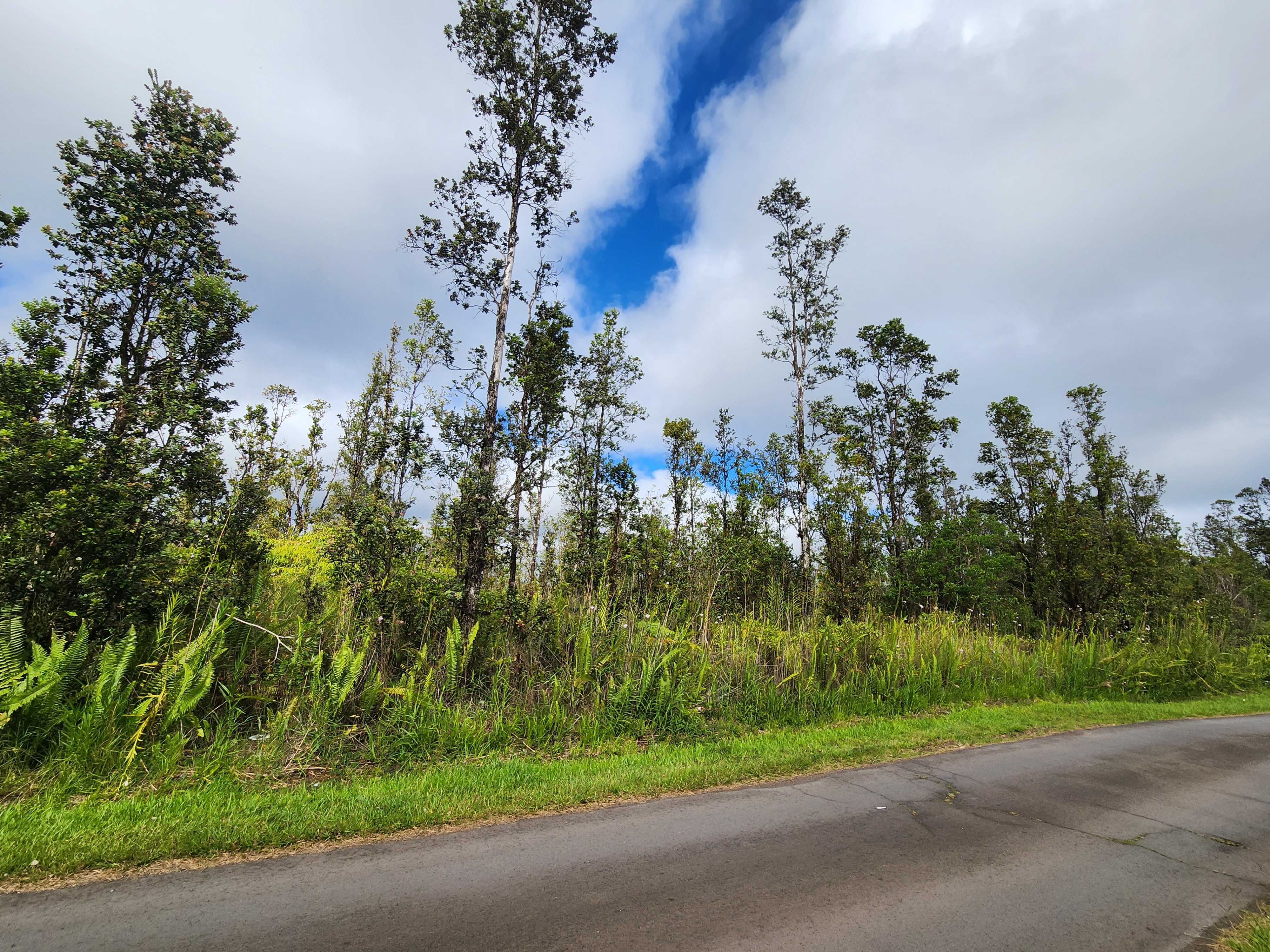 16-1793 ROAD 1 (UHINI ANA), Mountain View, HI 96760