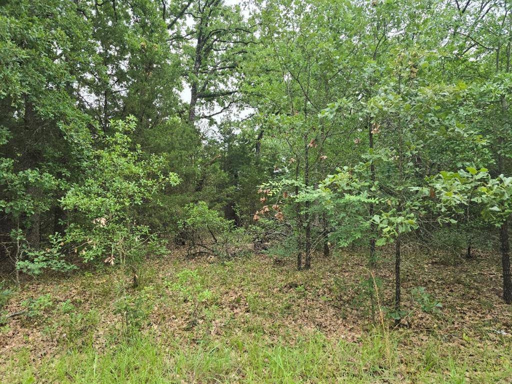 Lot 1007 Kickapoo Trail, Mabank, TX 75156