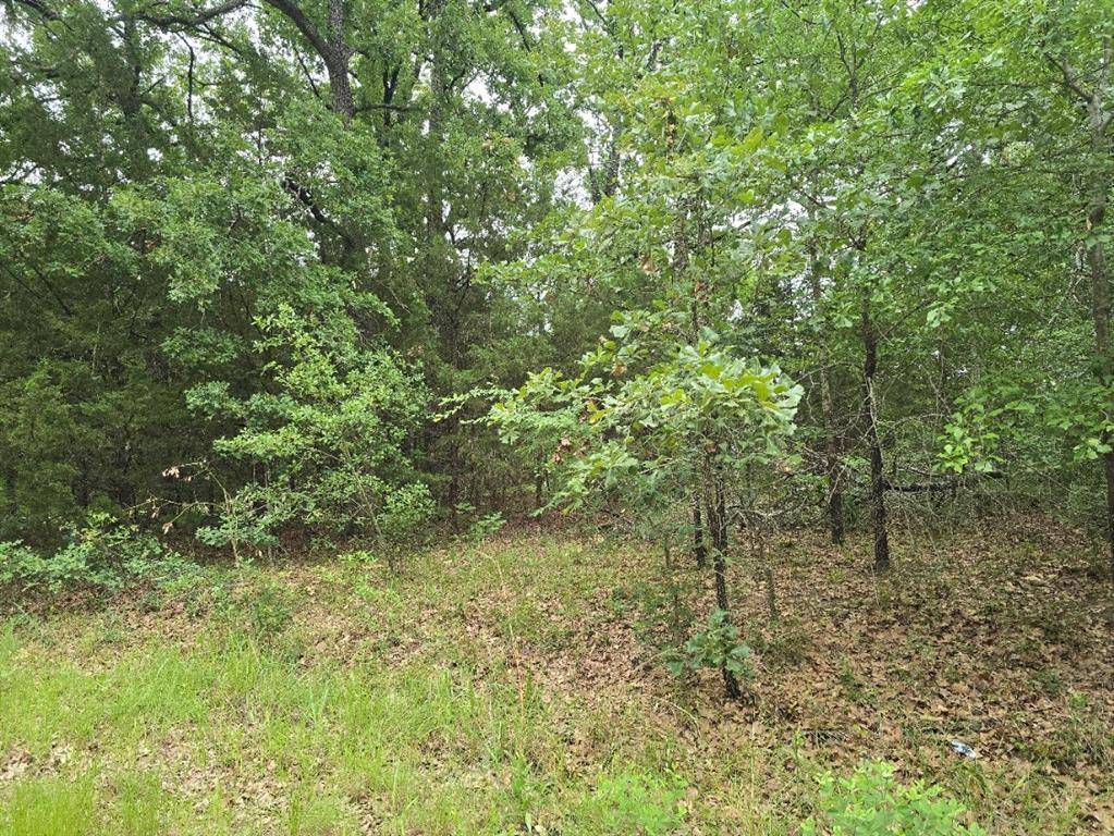 Lot 1007 Kickapoo Trail, Mabank, TX 75156