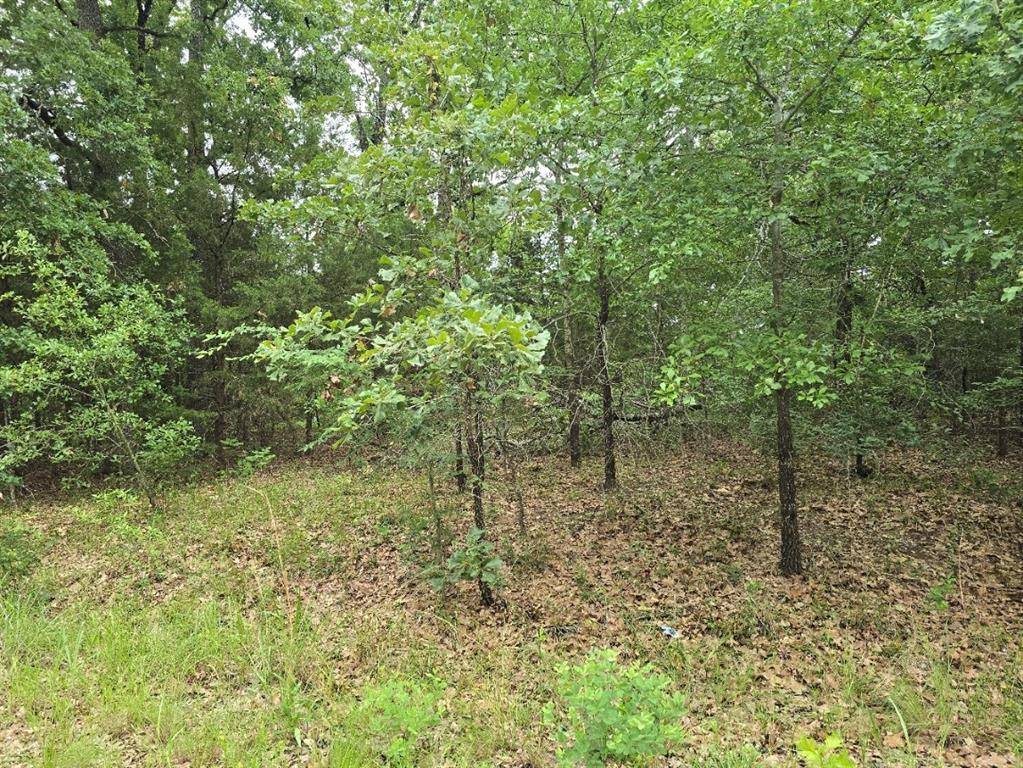 Lot 1007 Kickapoo Trail, Mabank, TX 75156