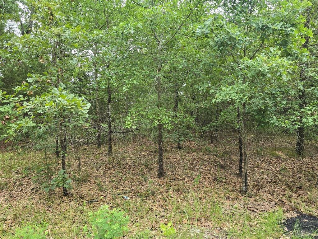 Lot 1007 Kickapoo Trail, Mabank, TX 75156