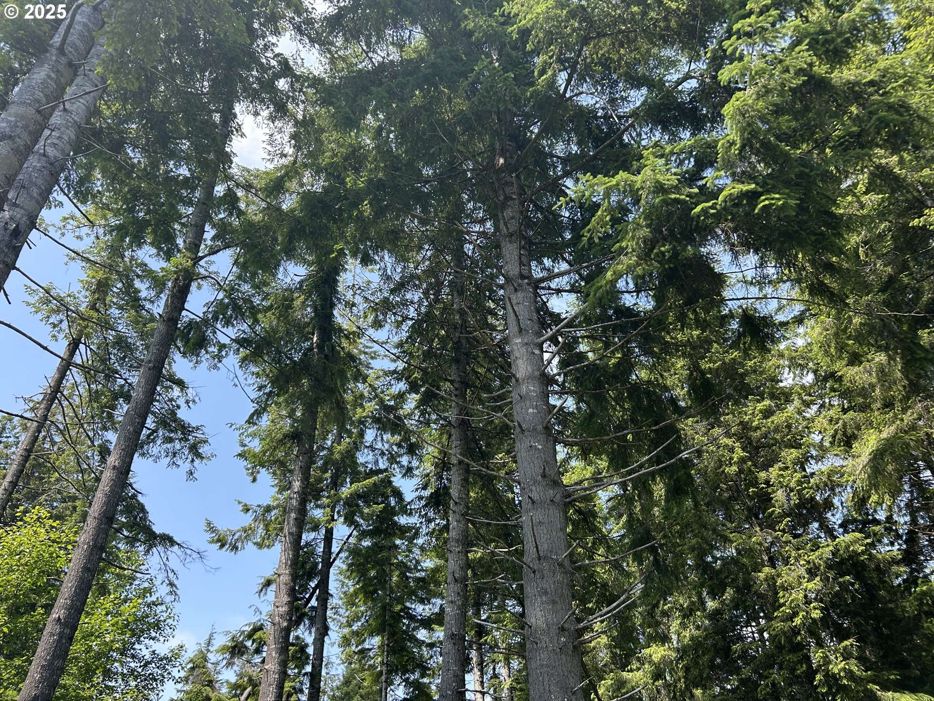 2 E Walberg RD, Chinook, WA 98614