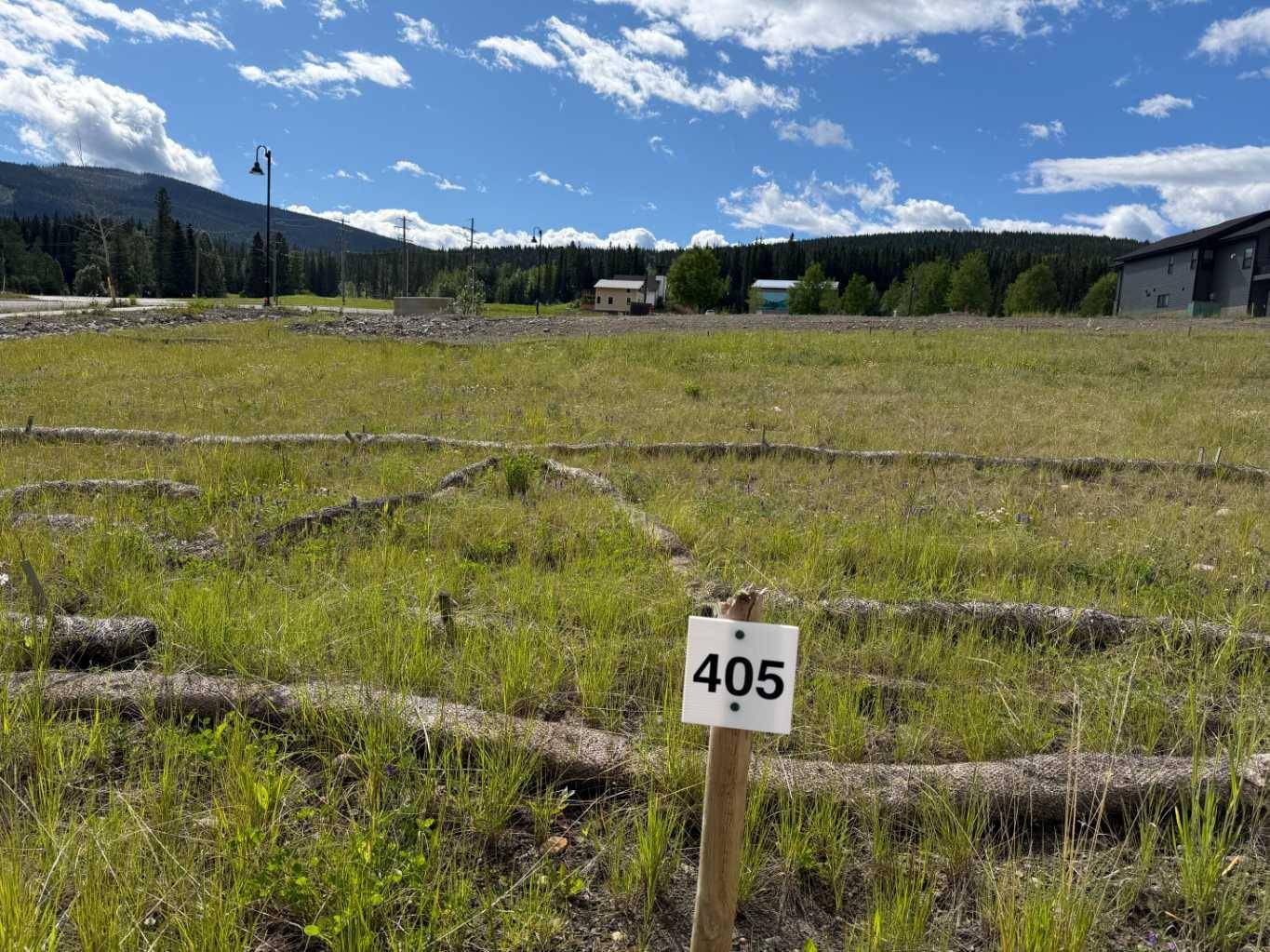 405 LILY AVE, Nordegg, AB T0M 2H0