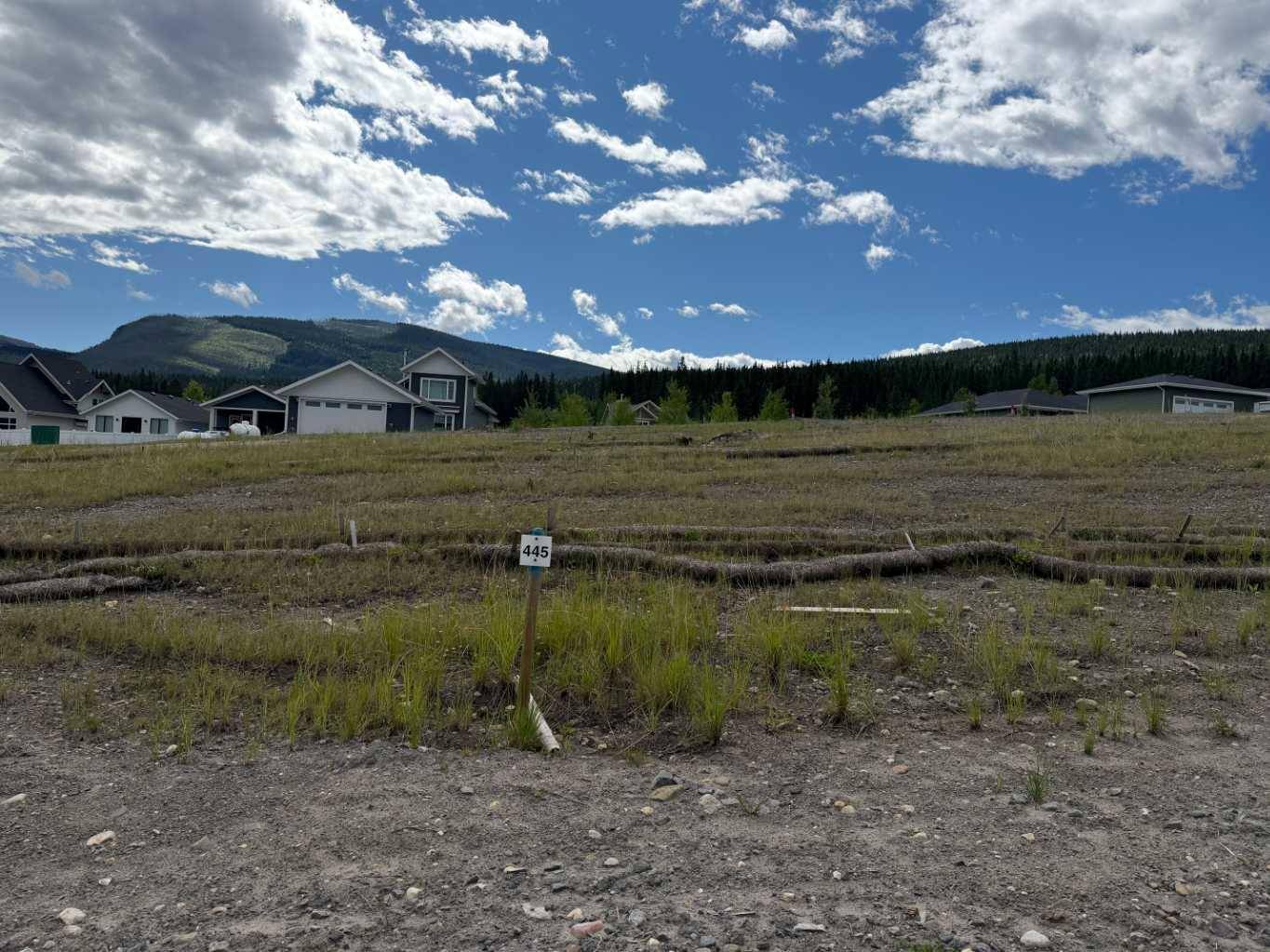 445 LILY AVE, Nordegg, AB T0M 2H0