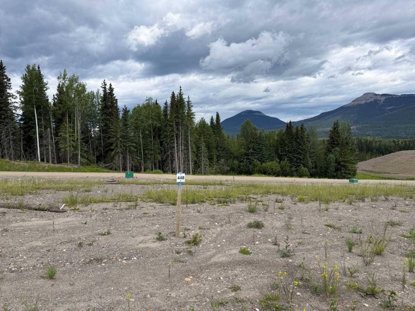 448 LILY AVE, Nordegg, AB T0M 2H0