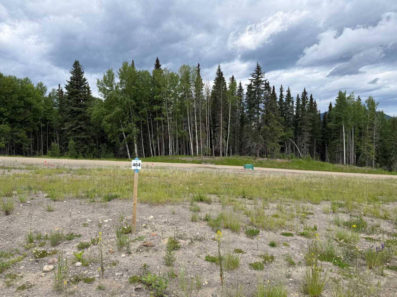 464 LILY AVE, Nordegg, AB T0M 2H0