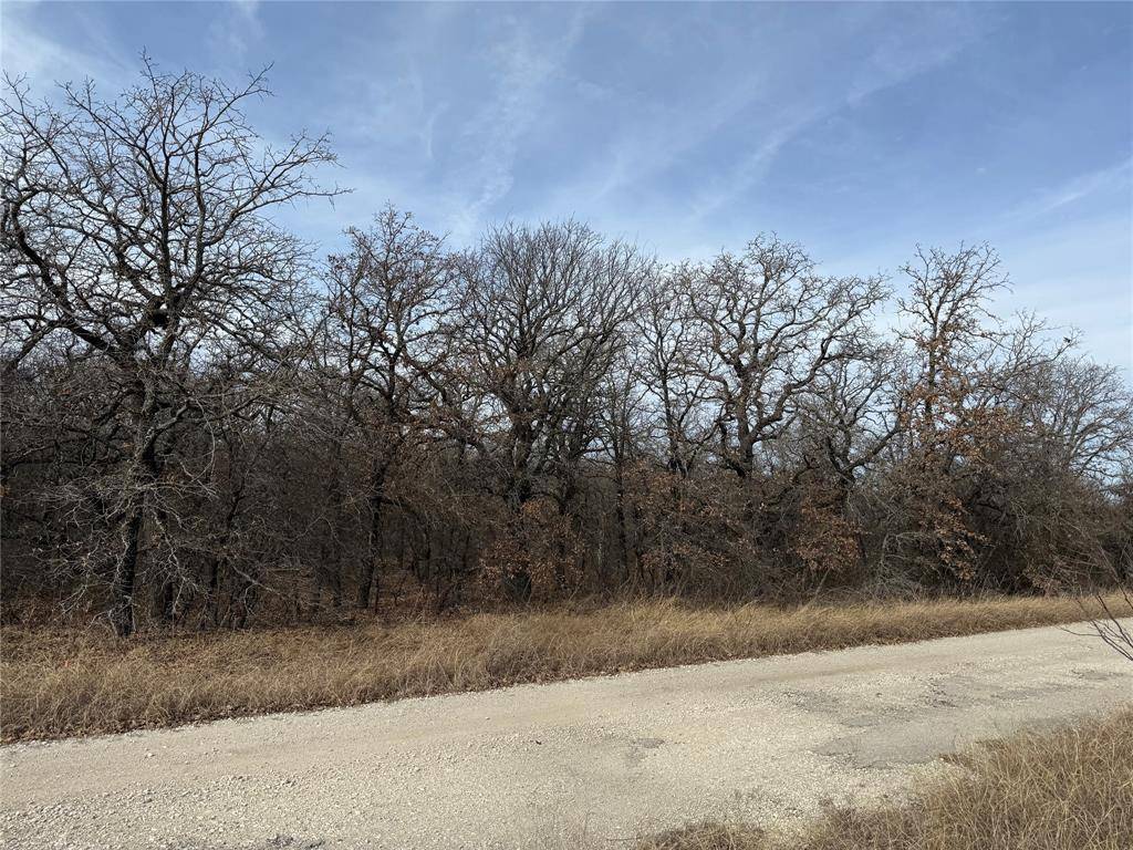 0 Lindsey Lane, Runaway Bay, TX 76426