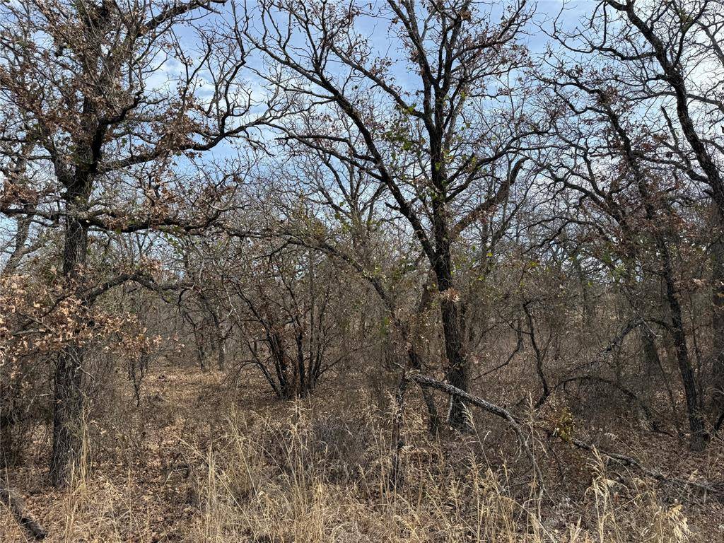 0 Lindsey Lane, Runaway Bay, TX 76426