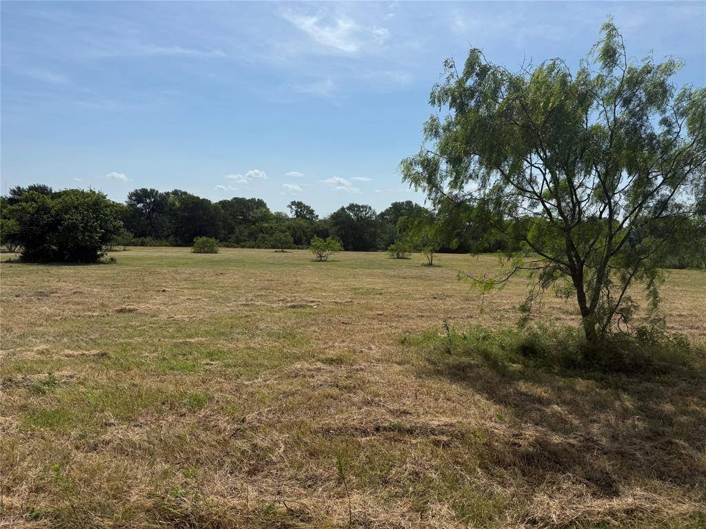 Lot 5 FM RD 429, Terrell, TX 75160