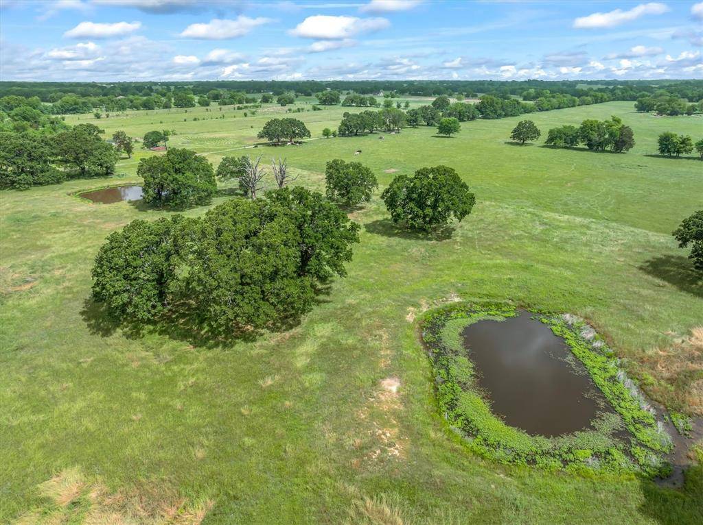 TBD FM-1395, Edgewood, TX 75117