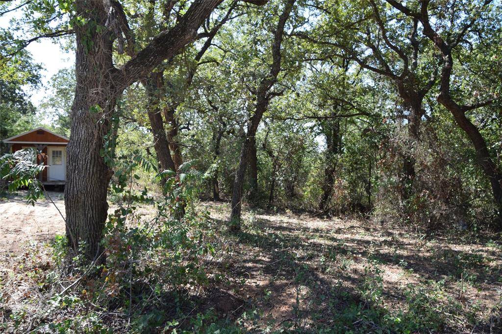 0 Walnut Road, Nocona, TX 76255