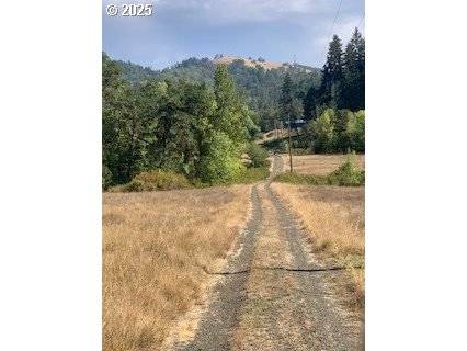 0 NE NEWTON CREEK RD, Roseburg, OR 97470