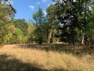 0 NE NEWTON CREEK RD, Roseburg, OR 97470