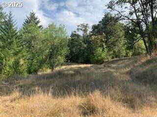0 NE NEWTON CREEK RD, Roseburg, OR 97470
