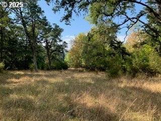 0 NE NEWTON CREEK RD, Roseburg, OR 97470