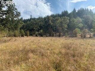 0 NE NEWTON CREEK RD, Roseburg, OR 97470