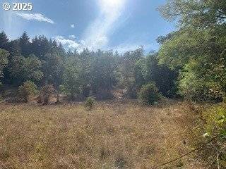 0 NE NEWTON CREEK RD, Roseburg, OR 97470