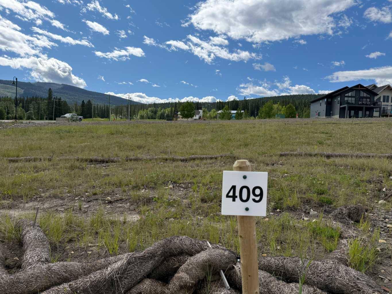 409 LILY AVE, Nordegg, AB T0M 2H0
