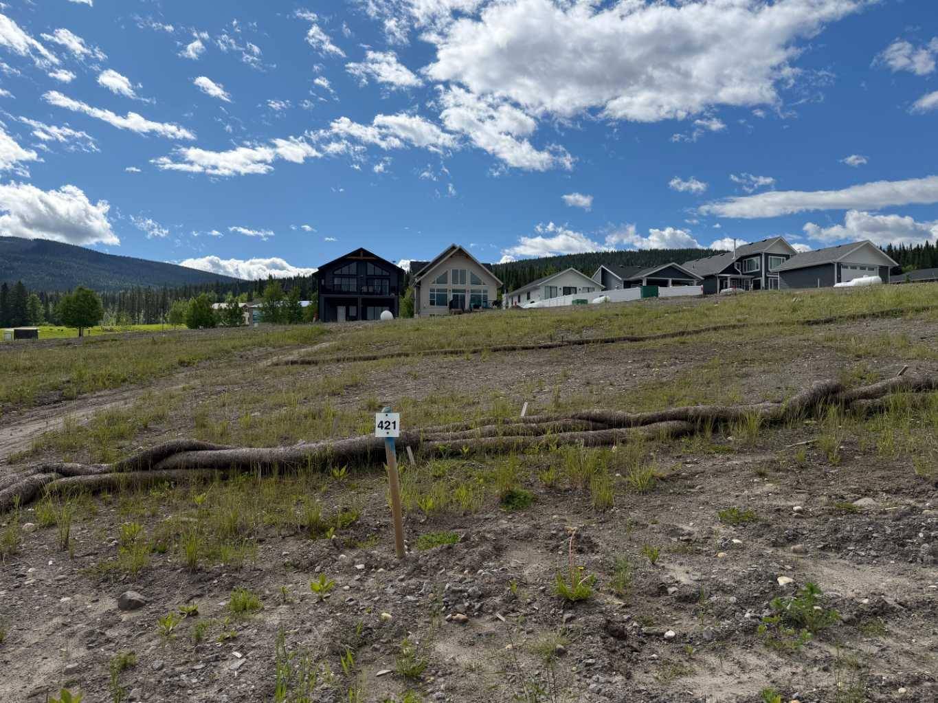421 LILY AVE, Nordegg, AB T0M 2H0