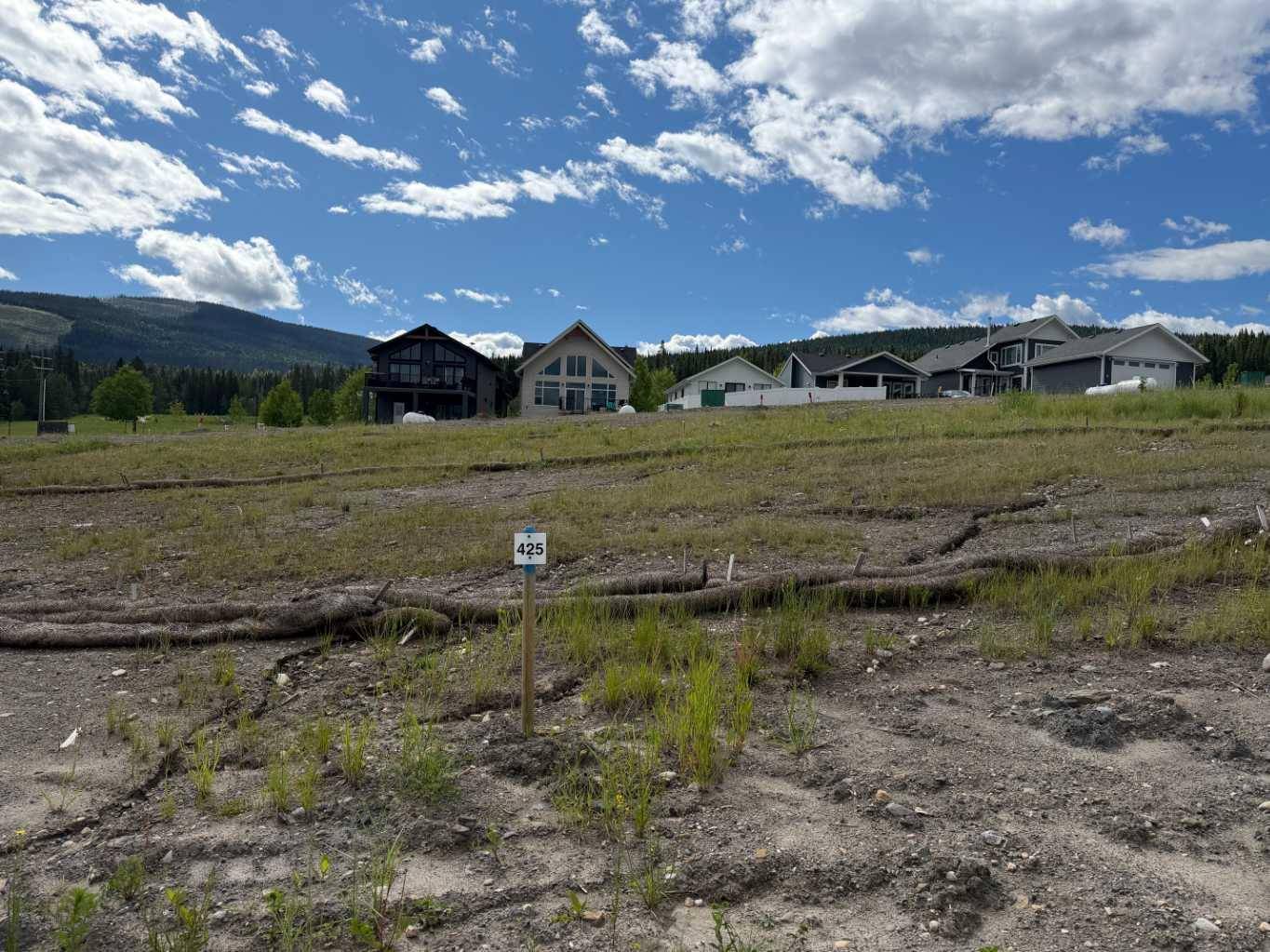 425 LILY AVE, Nordegg, AB T0M 2H0