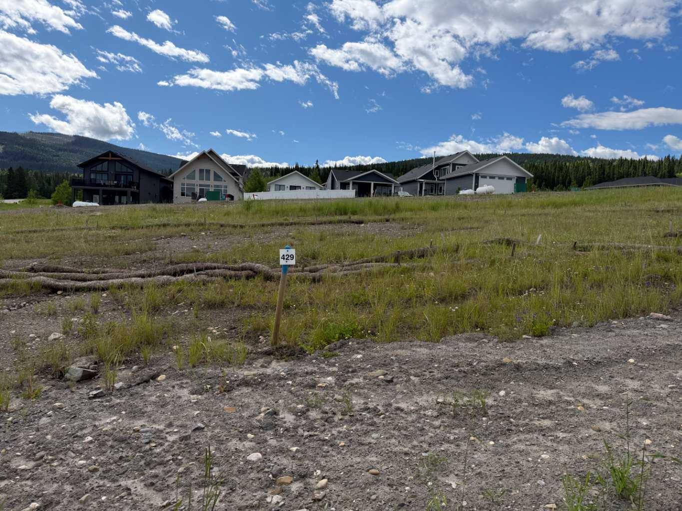 429 LILY AVE, Nordegg, AB T0M 2H0