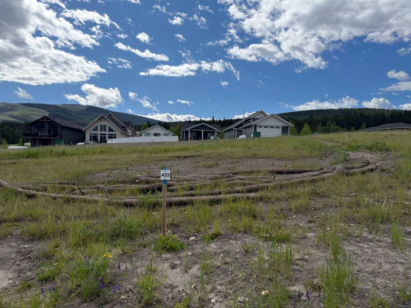 433 LILY AVE, Nordegg, AB T0M 2H0