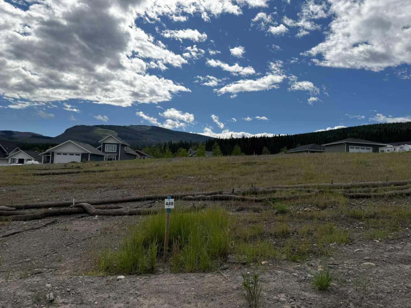 449 LILY AVE, Nordegg, AB T0M 2H0