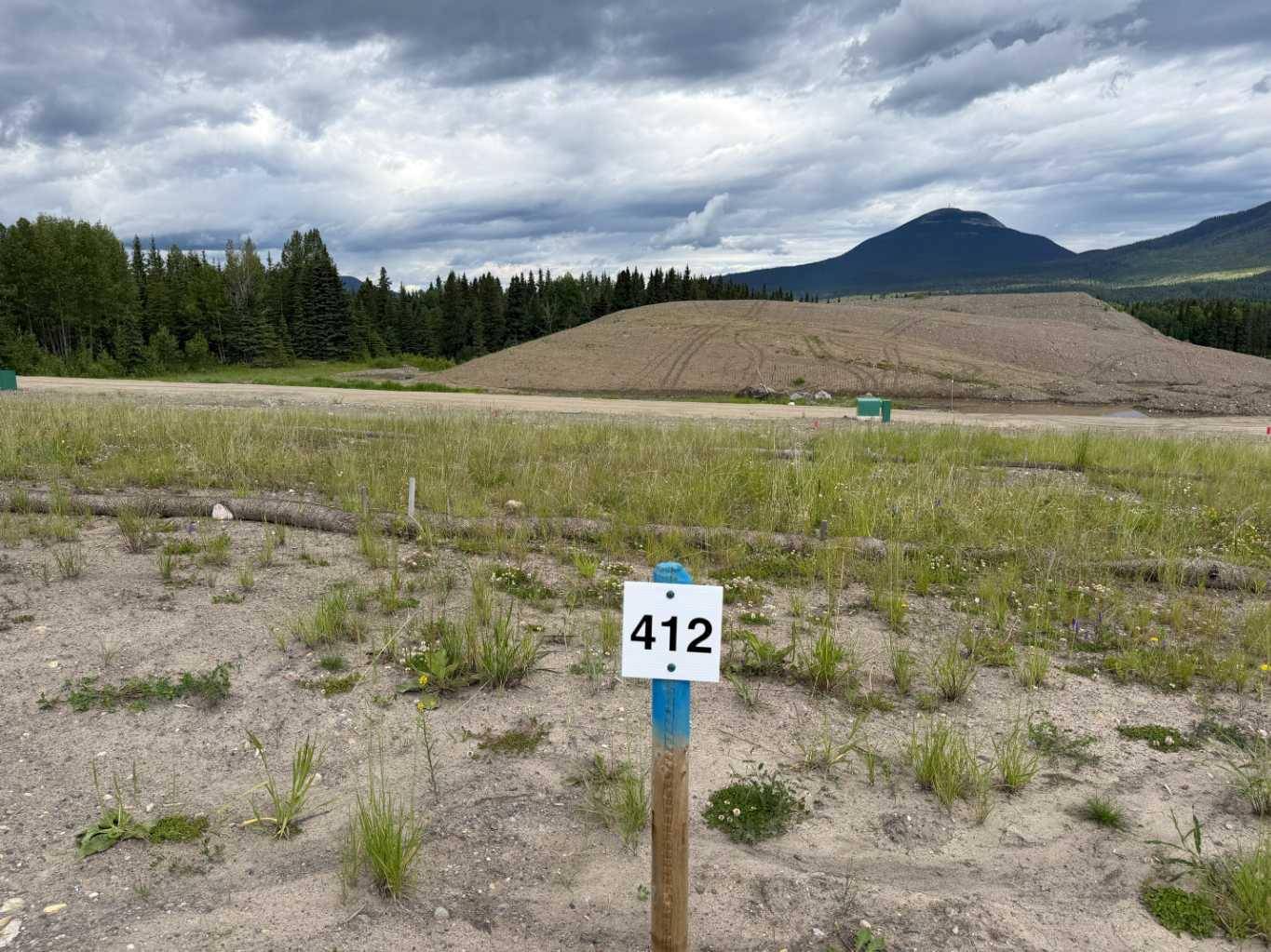 412 LILY AVE, Nordegg, AB T0M 2H0