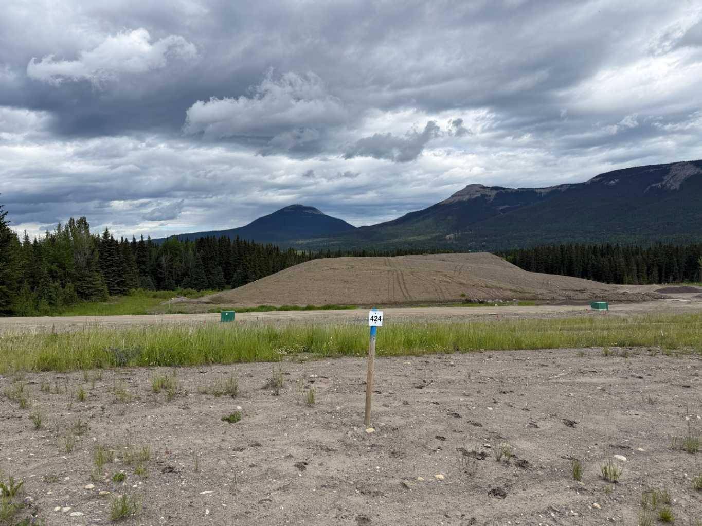 424 LILY AVE, Nordegg, AB T0M 2H0