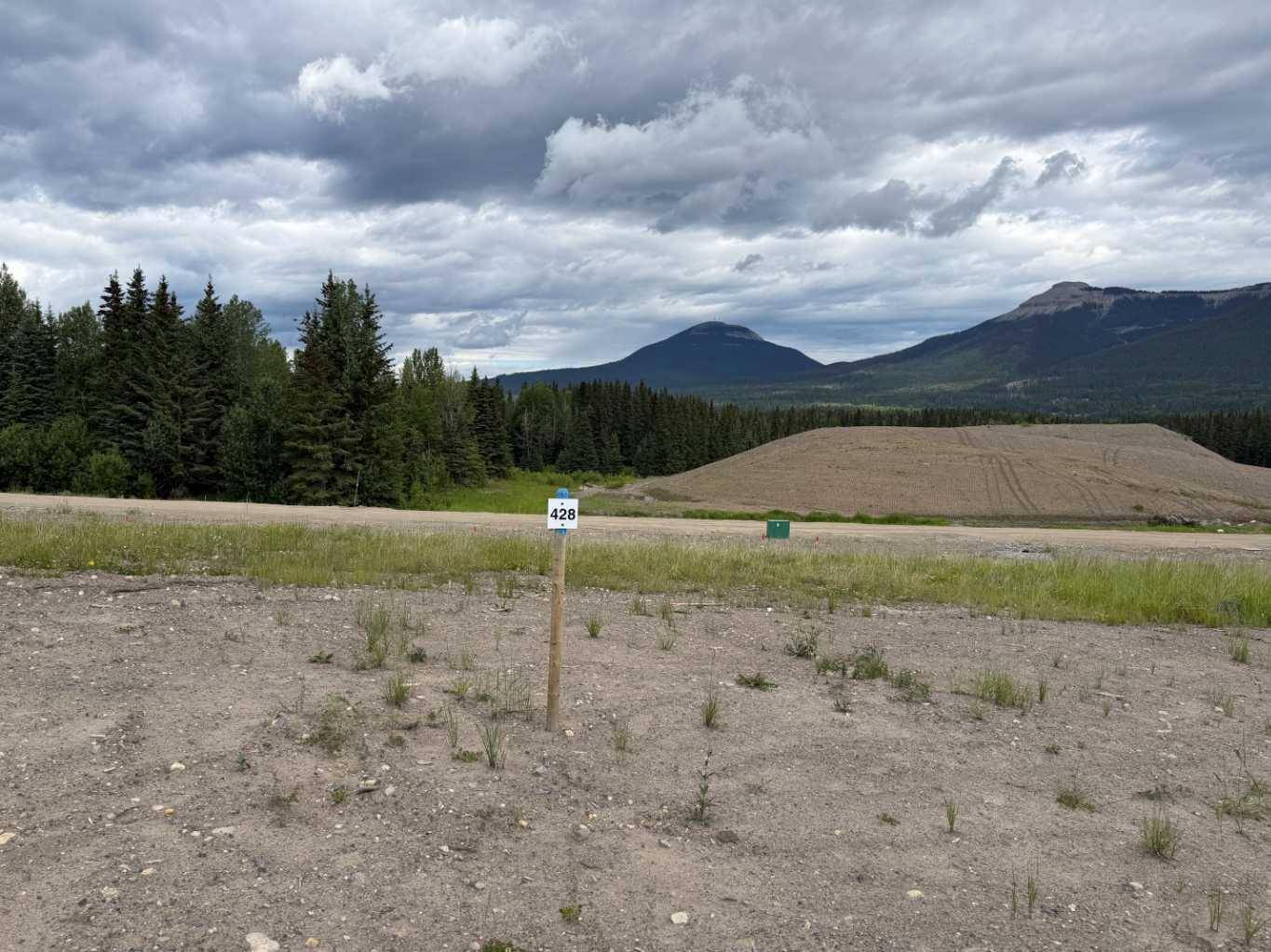 428 LILY AVE, Nordegg, AB T0M 2H0