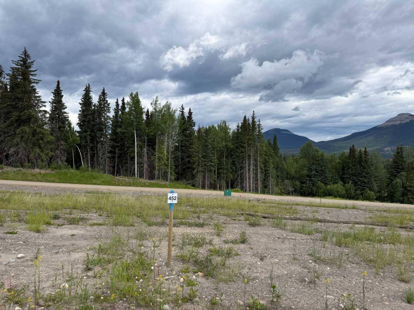 452 LILY AVE, Nordegg, AB T0M 2H0