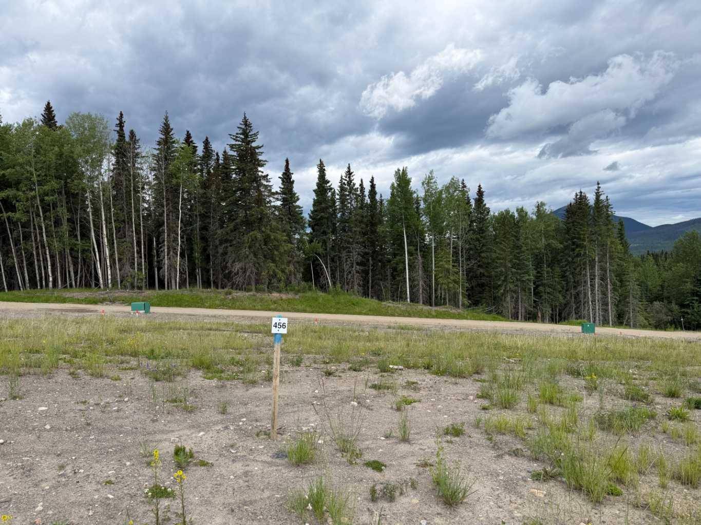 456 LILY AVE, Nordegg, AB T0M 2H0