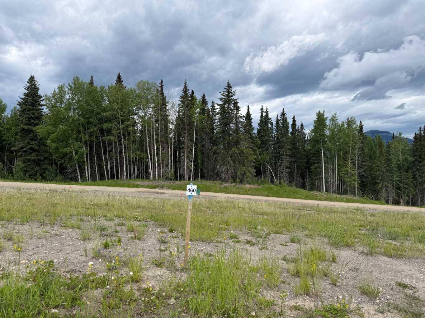 460 LILY AVE, Nordegg, AB T0M 2H0