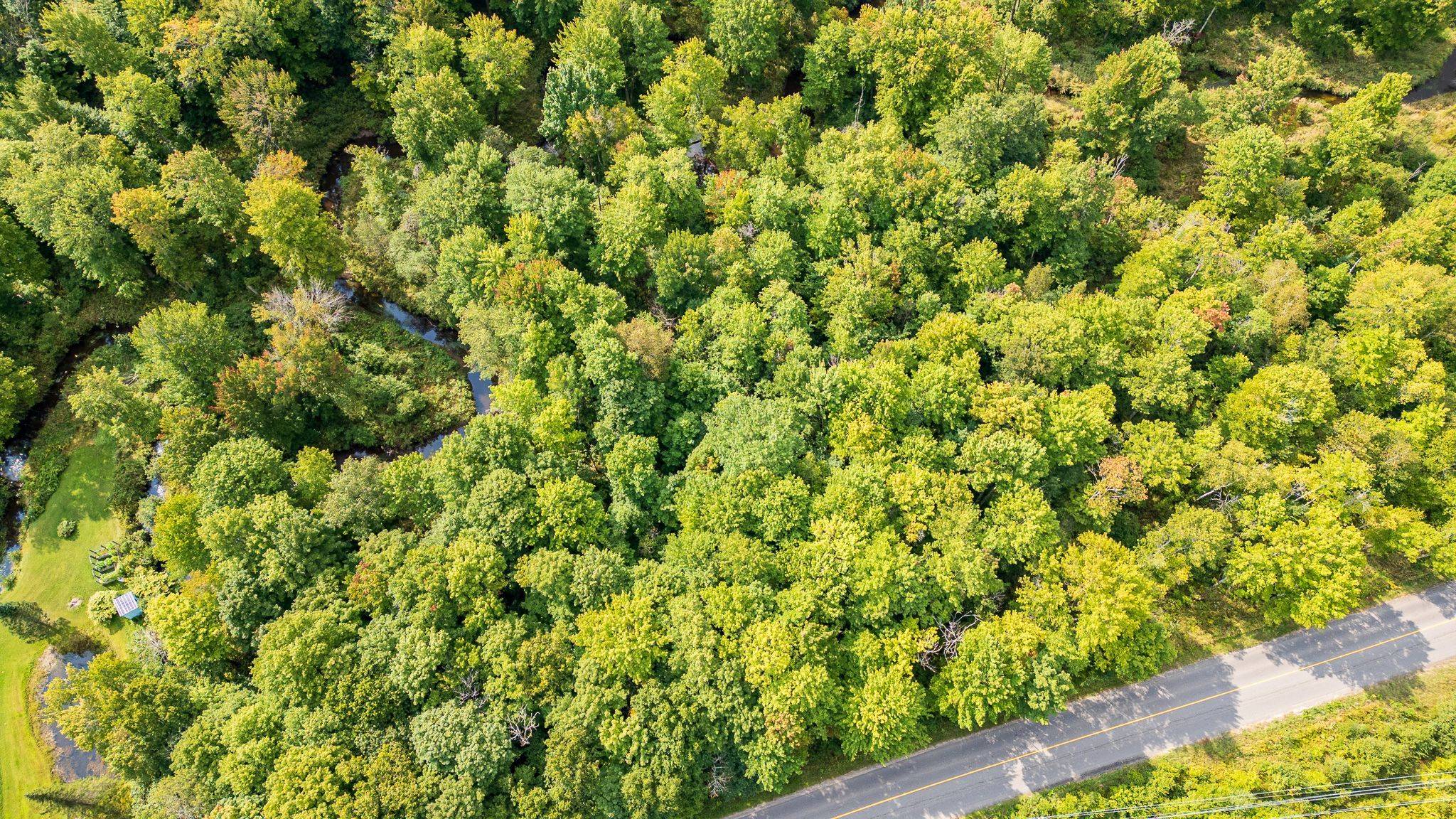 LOT 20 BEIERS RD, Gravenhurst, ON P0E 1N0