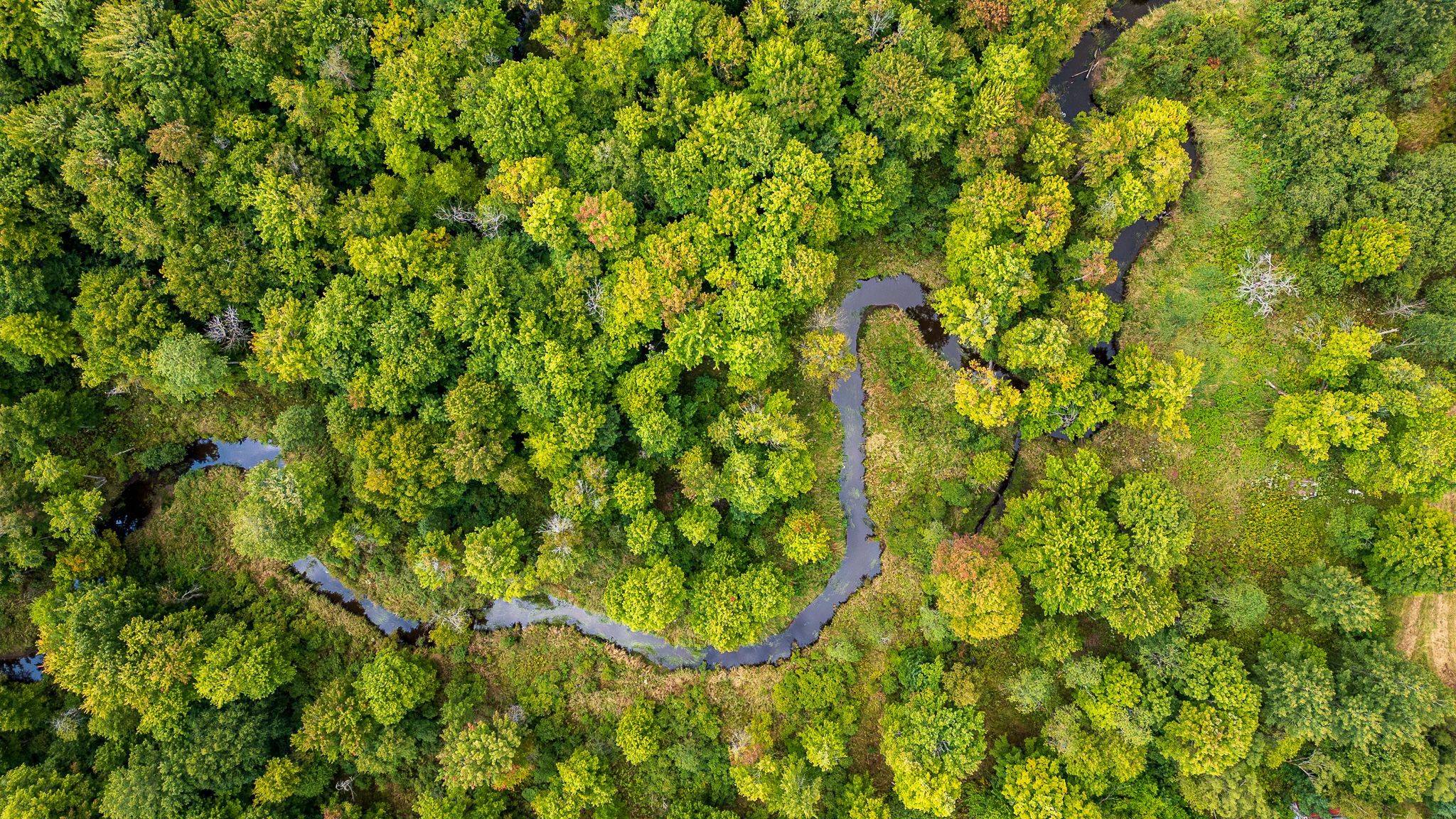 LOT 20 BEIERS RD, Gravenhurst, ON P0E 1N0