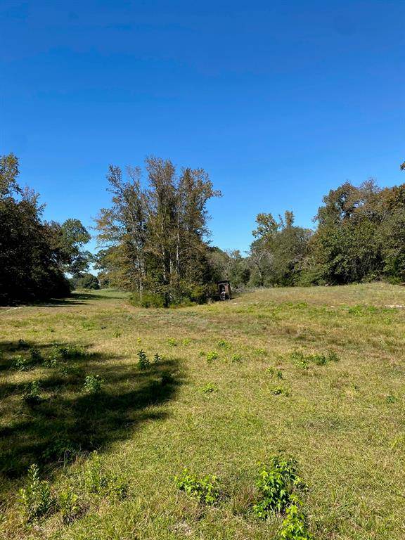 TBD 008 County Rd 242, Oakwood, TX 75855