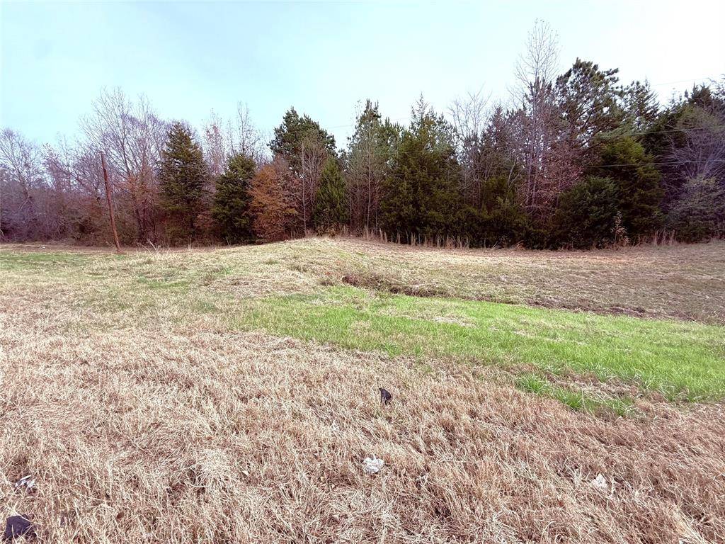 000 Hwy 37, Winnsboro, TX 75494