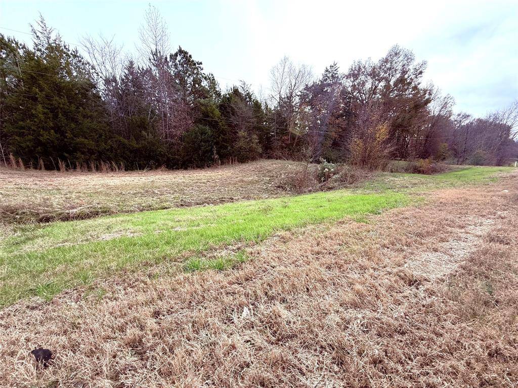 000 Hwy 37, Winnsboro, TX 75494