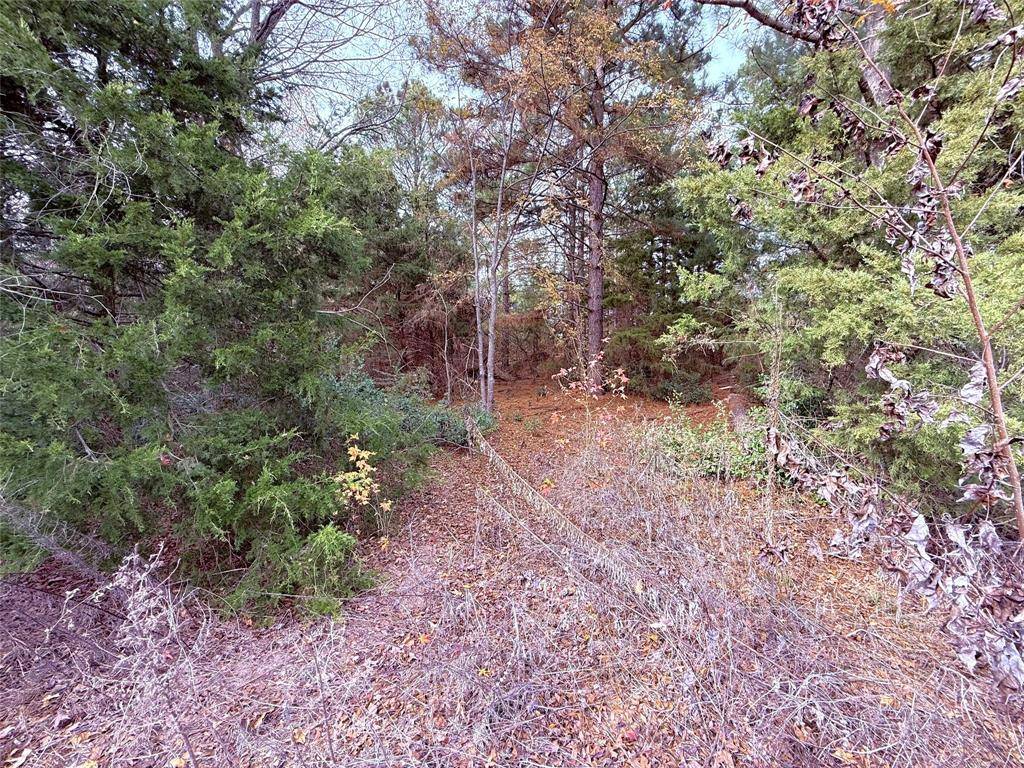 000 Hwy 37, Winnsboro, TX 75494