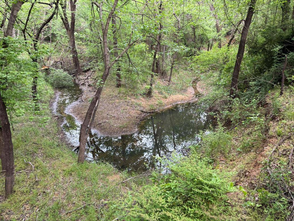 409 Spinnaker Run, Oak Point, TX 75068