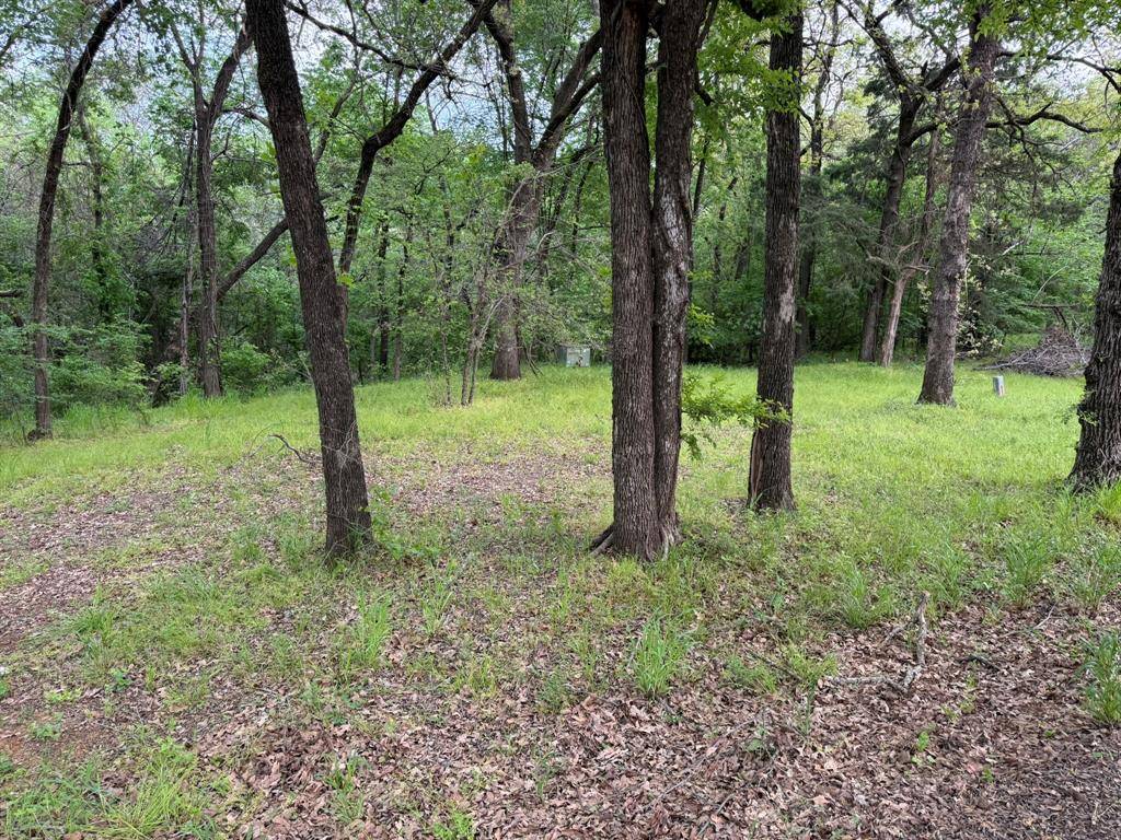409 Spinnaker Run, Oak Point, TX 75068