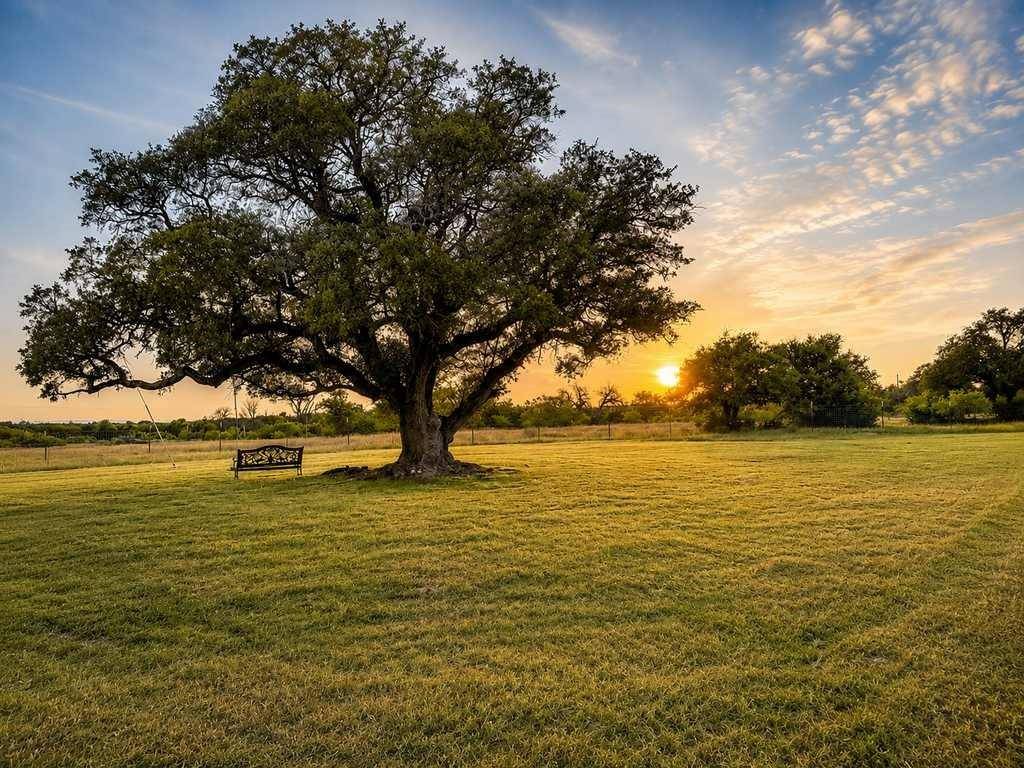 TBD County Road 96, Purmela, TX 76566
