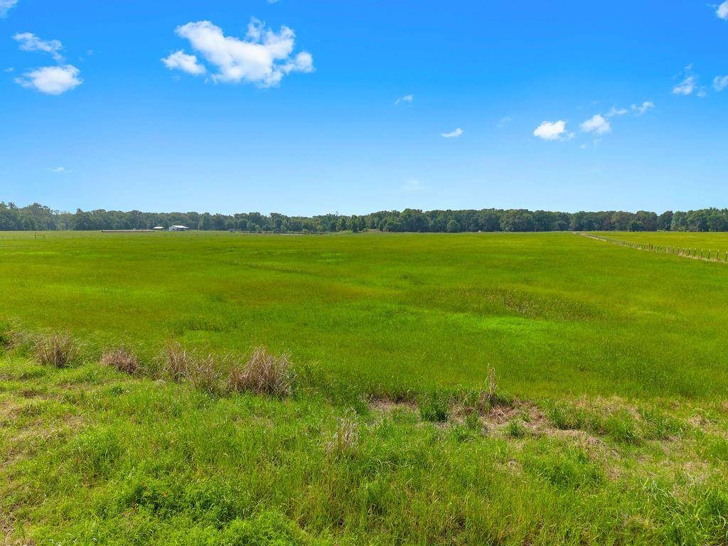 269 VZ County Road 4305, Ben Wheeler, TX 75754