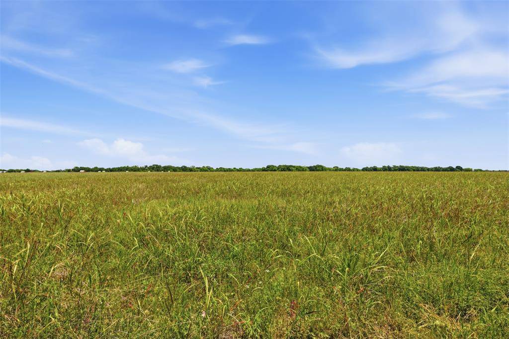 421 Chambers Creek Trail, Alvarado, TX 76009
