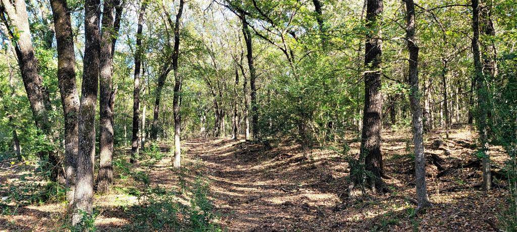 8601 Lowery Road, Fort Worth, TX 76120