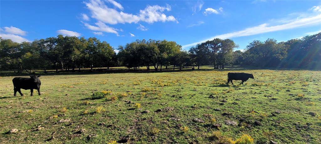 8601 Lowery Road, Fort Worth, TX 76120