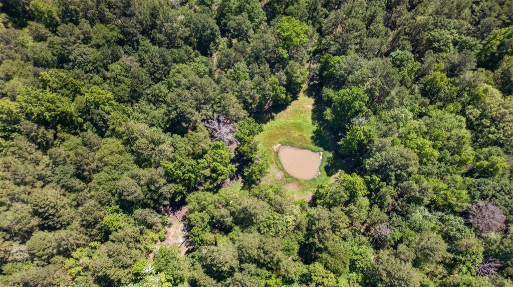 0 Anderson County Road 359 (Off), Palestine, TX 75801