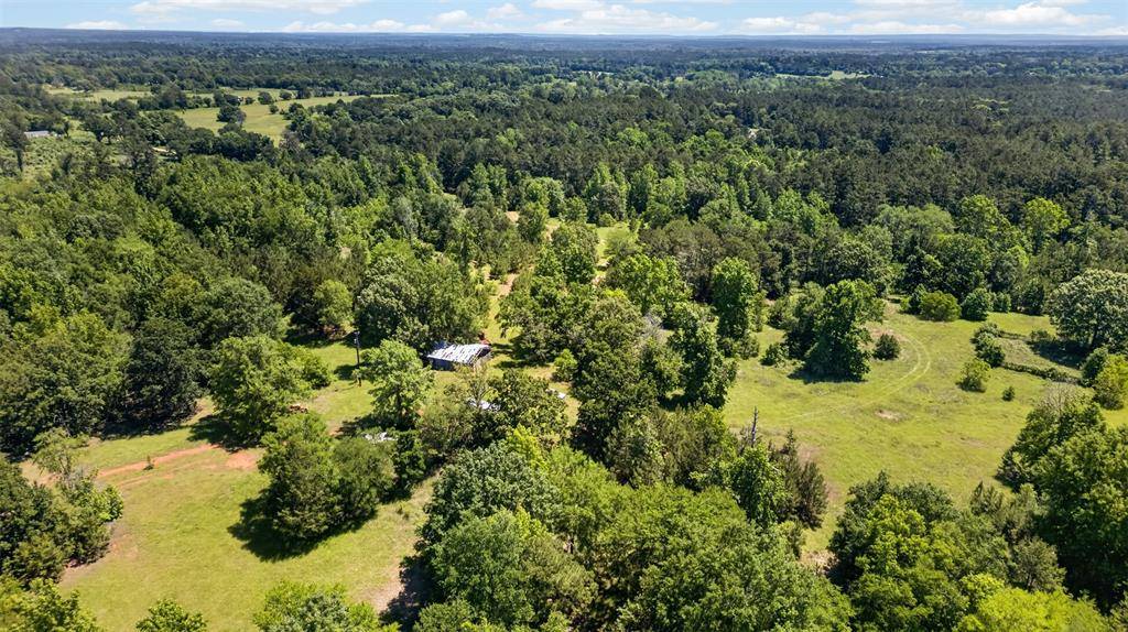 0 Anderson County Road 359 (Off), Palestine, TX 75801