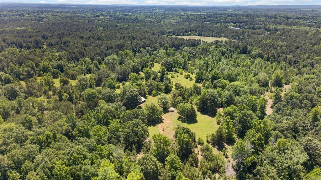 0 Anderson County Road 359 (Off), Palestine, TX 75801