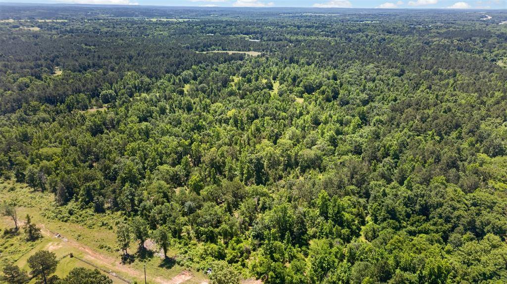 0 Anderson County Road 359 (Off), Palestine, TX 75801